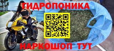 прущие крисы Обнинск