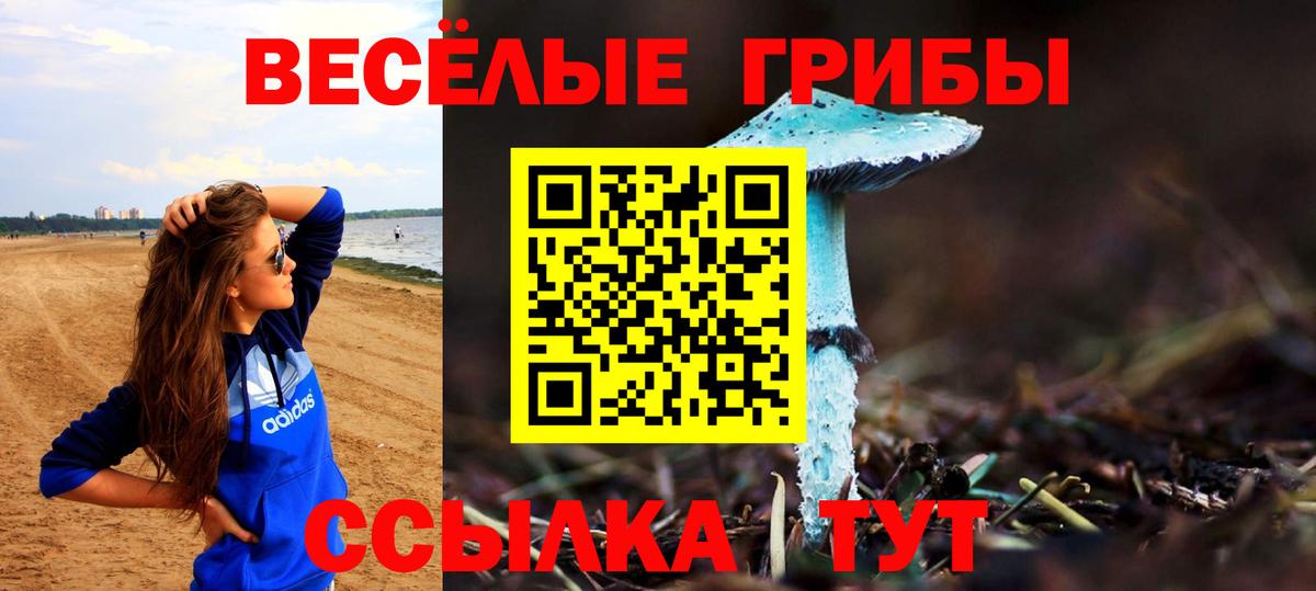 Псилоцибиновые грибы мухоморы  Вход с VPN  Рубцовск 